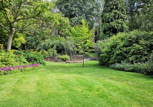 Optimiser l'expérience du jardin à Champs-sur-Yonne